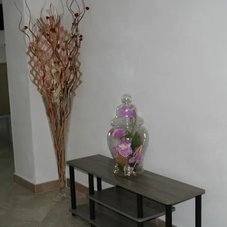 Casa Panoramica 오로세